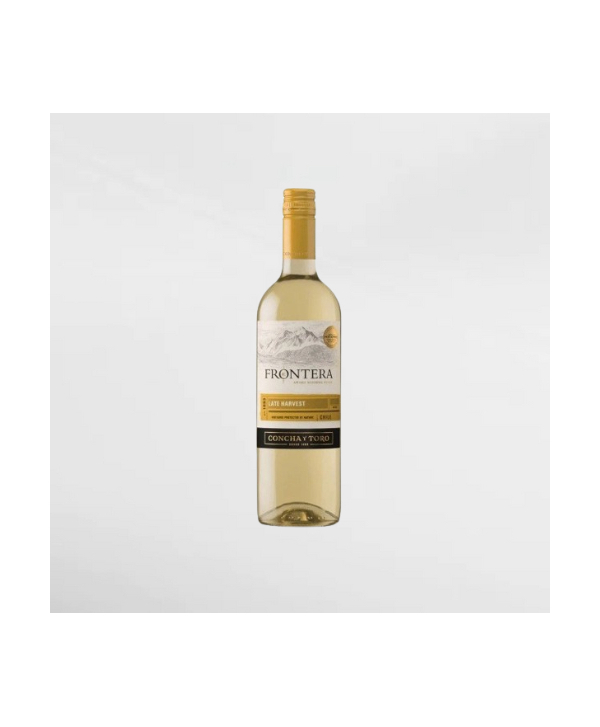 EXO123 x Vinyard 