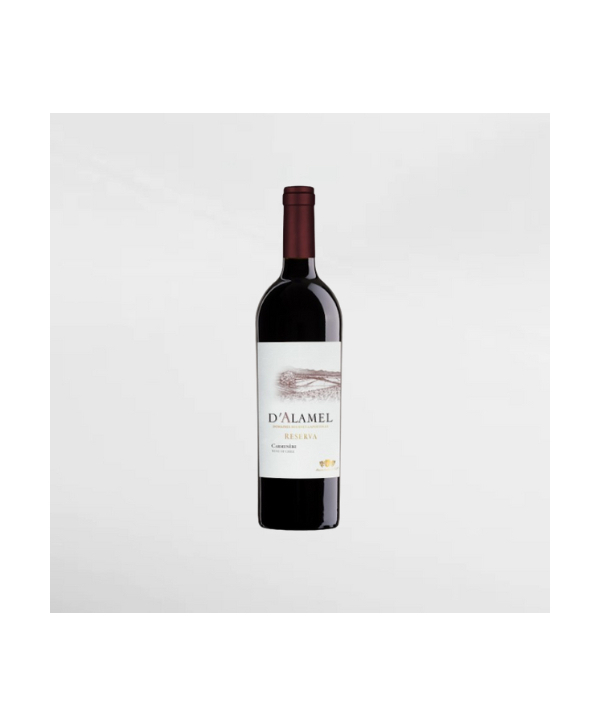 EXO123 x Vinyard 