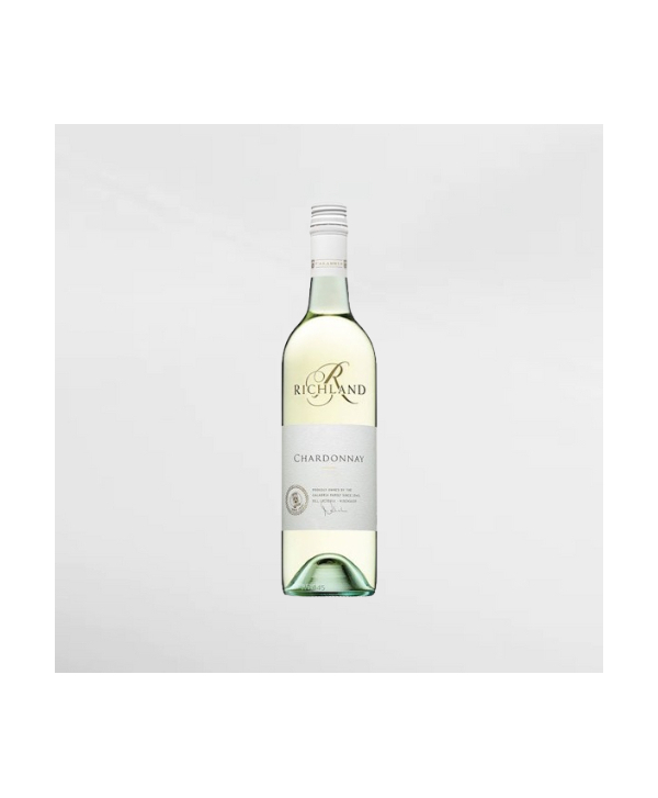 EXO123 x Vinyard 