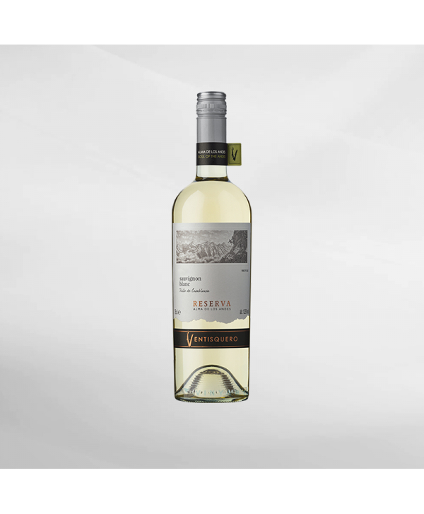 EXO123 x Vinyard 