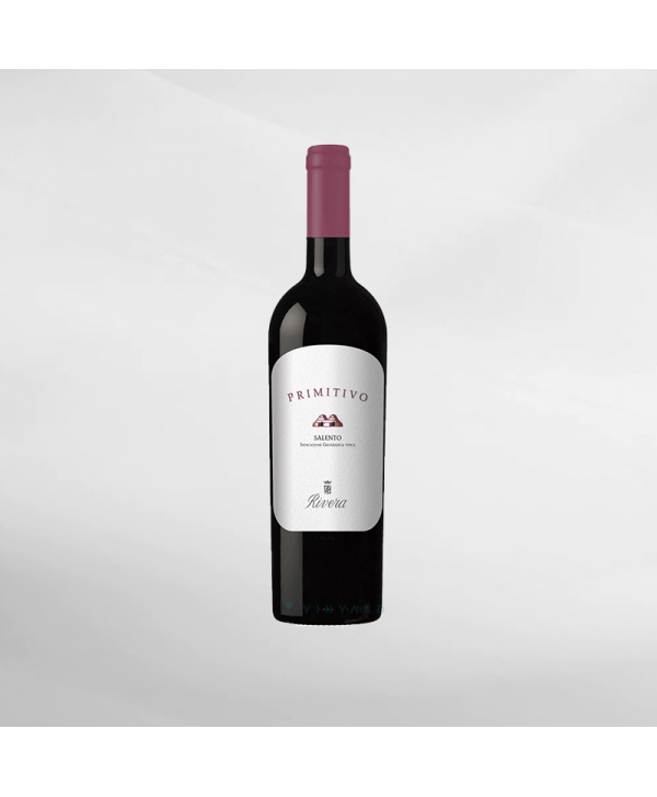 EXO123 x Vinyard 