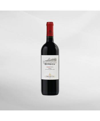 EXO123 x Vinyard Marchese Antinori...