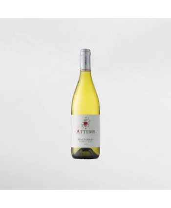 EXO123 x Vinyard Attems Pinot Grigio 750 ml