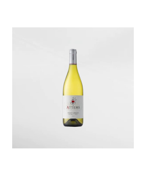 EXO123 x Vinyard 