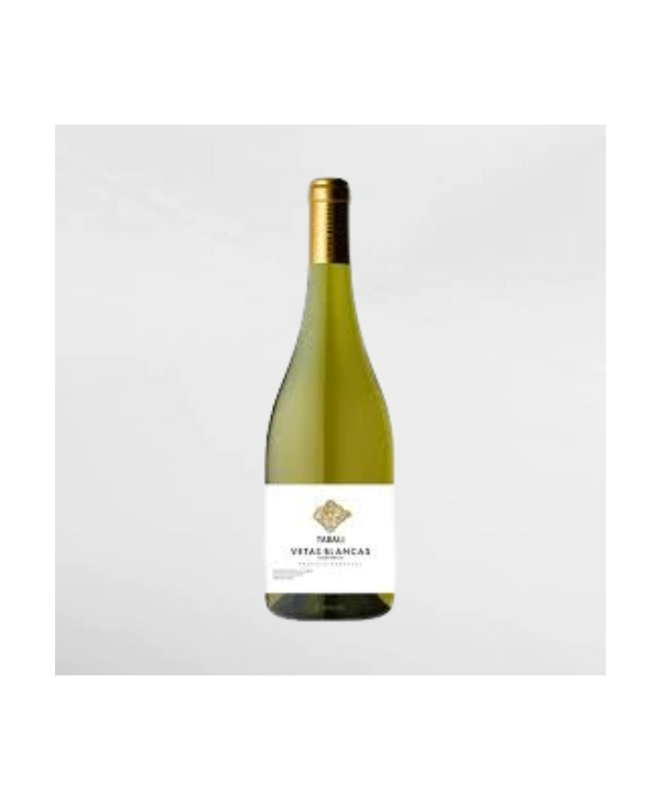 EXO123 x Vinyard 