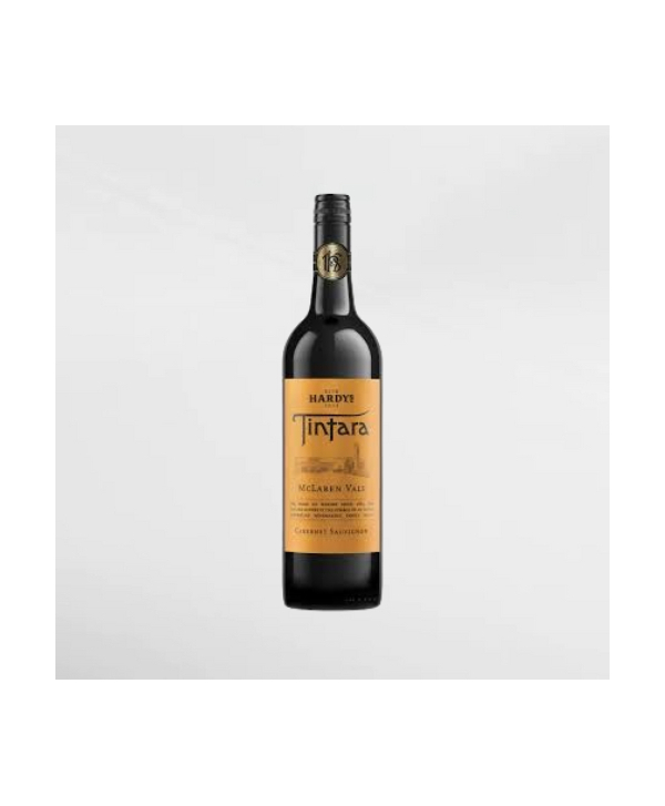 EXO123 x Vinyard 