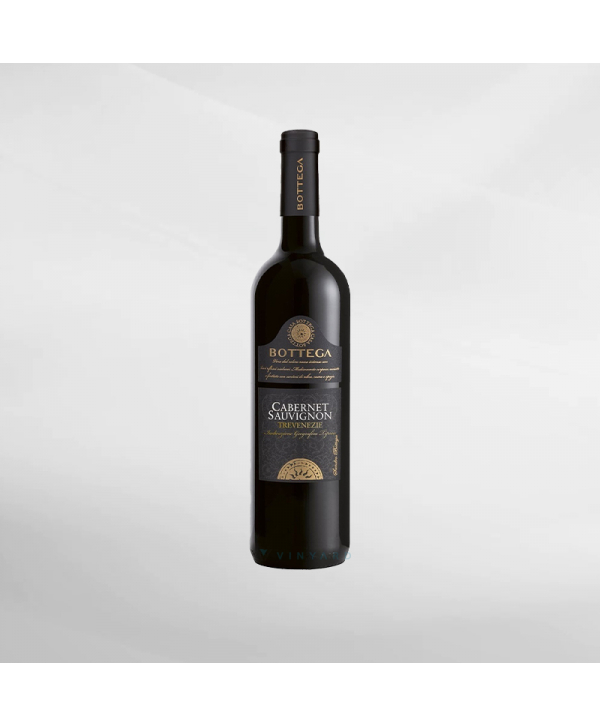 EXO123 x Vinyard 
