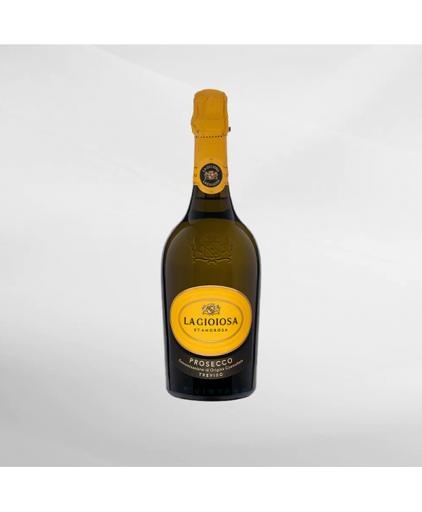 EXO123 x Vinyard 