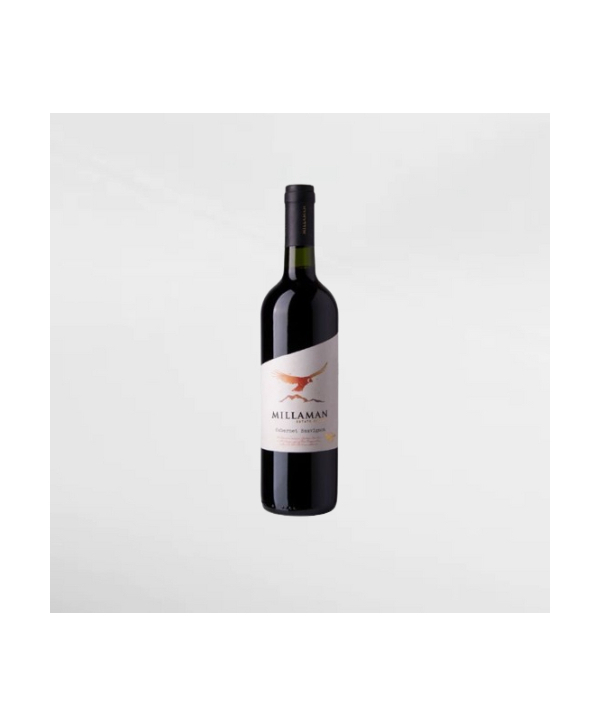 EXO123 x Vinyard 