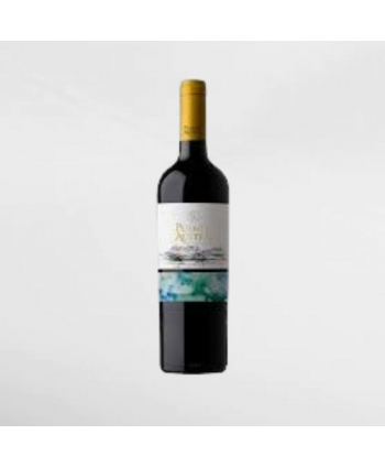 EXO123 x Vinyard Puente Austral Viognier 750 ml