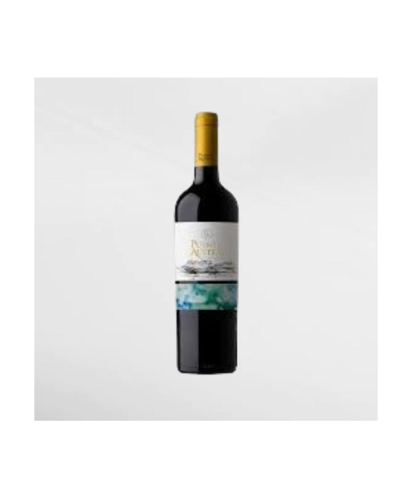 EXO123 x Vinyard 