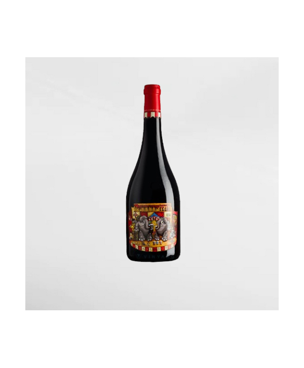EXO123 x Vinyard