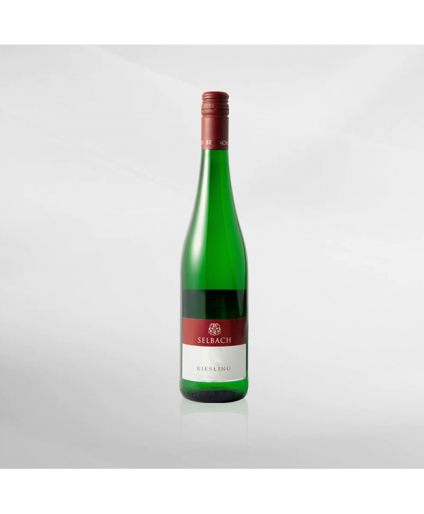 EXO123 x Vinyard 