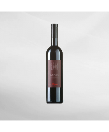 EXO123 x Vinyard allegrini la poja igt...