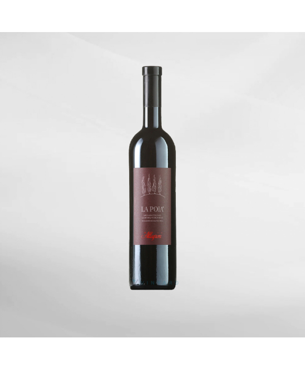 EXO123 x Vinyard