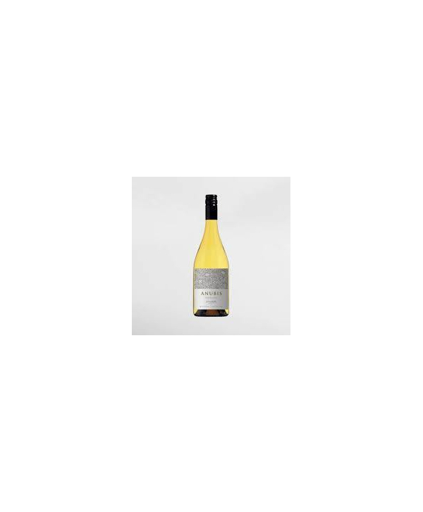 EXO123 x Vinyard