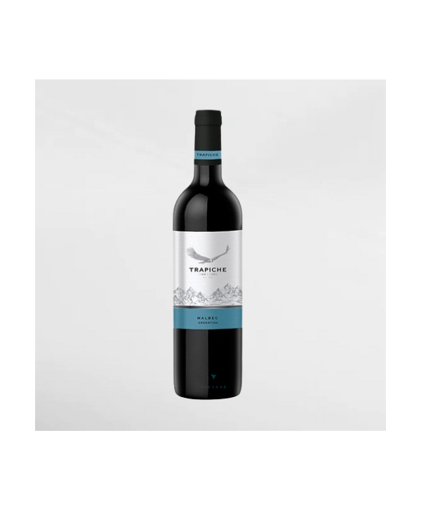 EXO123 x Vinyard 