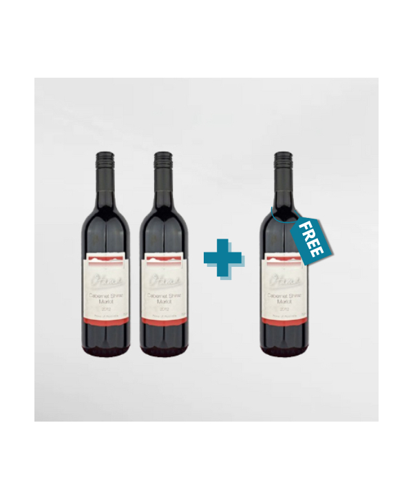 EXO123 x Vinyard 