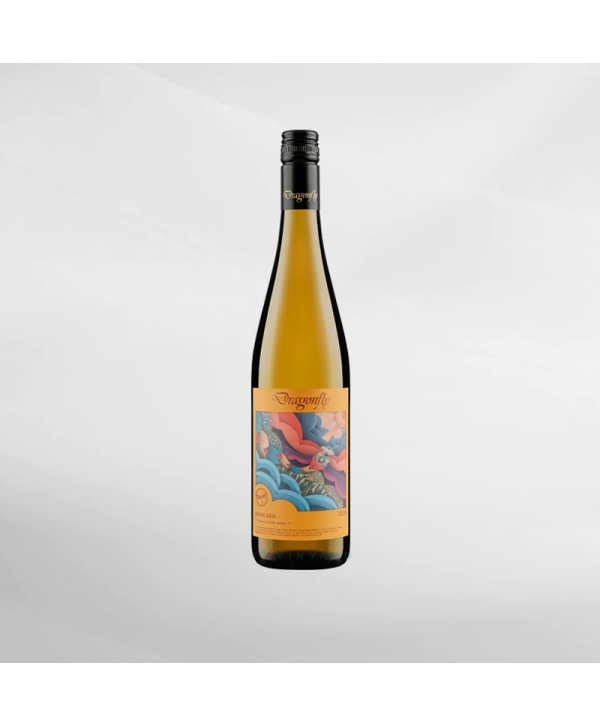 EXO123 x Vinyard 