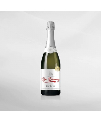 EXO123 x Vinyard Cape Discovery Brut Cuvee 750 ml