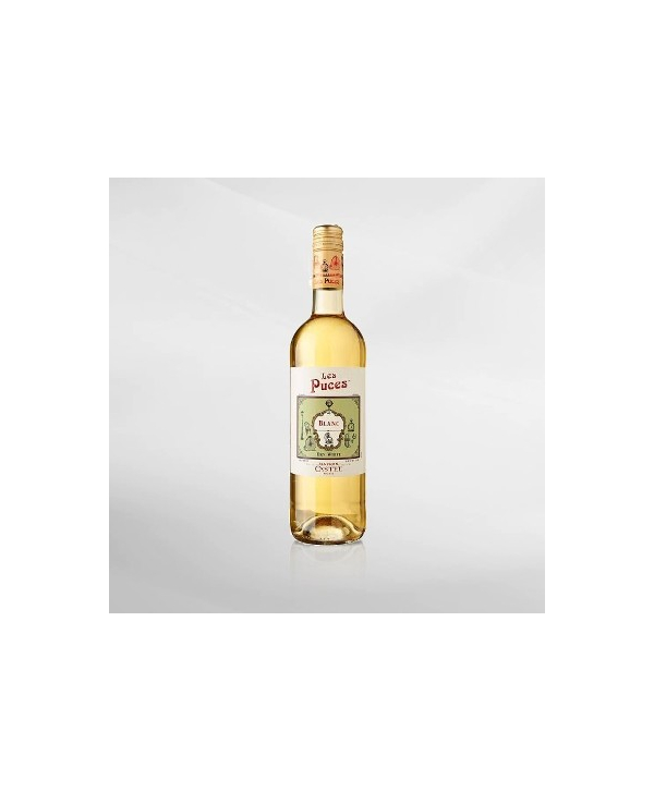 EXO123 x Vinyard Maison Castel Les Puces Dry White 750 ml