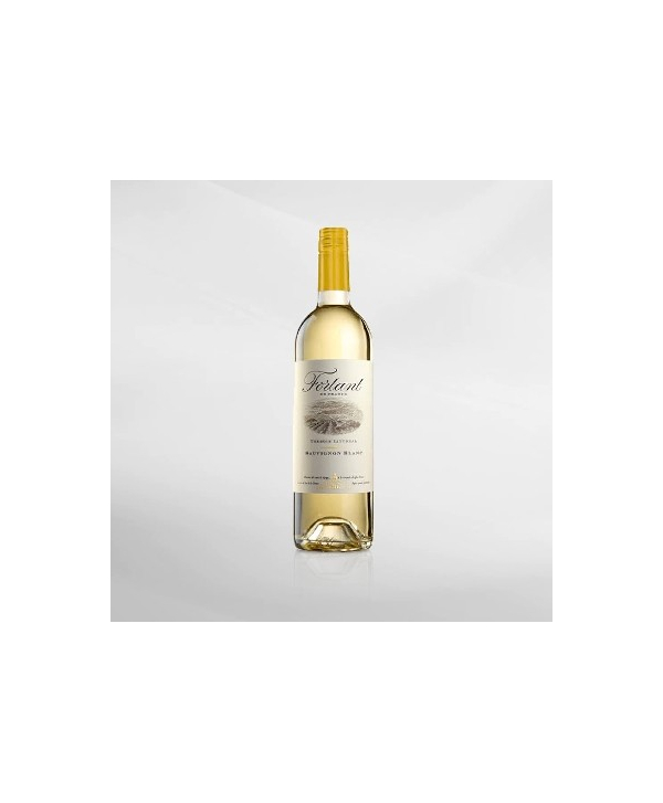 EXO123 x Vinyard Fortant Sauvignon Blanc 750 ml