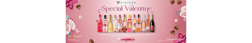 EXO123 x Vinyard Buy More Save More