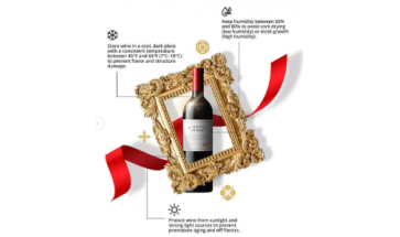EXO123 x Vinyard Unlock the Secrets to Perfect Wine Storage